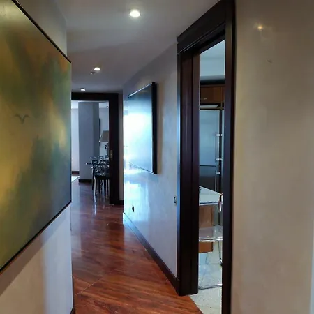 Vivienda De Lujo En El Centro De Apartmán *